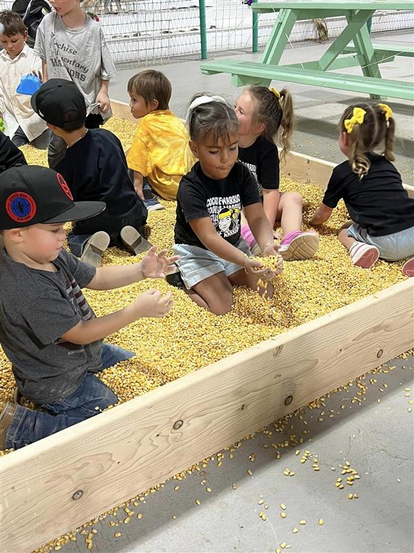 fair corn